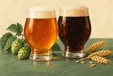 木更津のCHIBA BEER FEST、21日は中止 出店8醸造所と開催変更(2026/09/13 07:00 JST・イメージ画像)