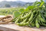 Edamame pods on stems (AI-generated concept image)